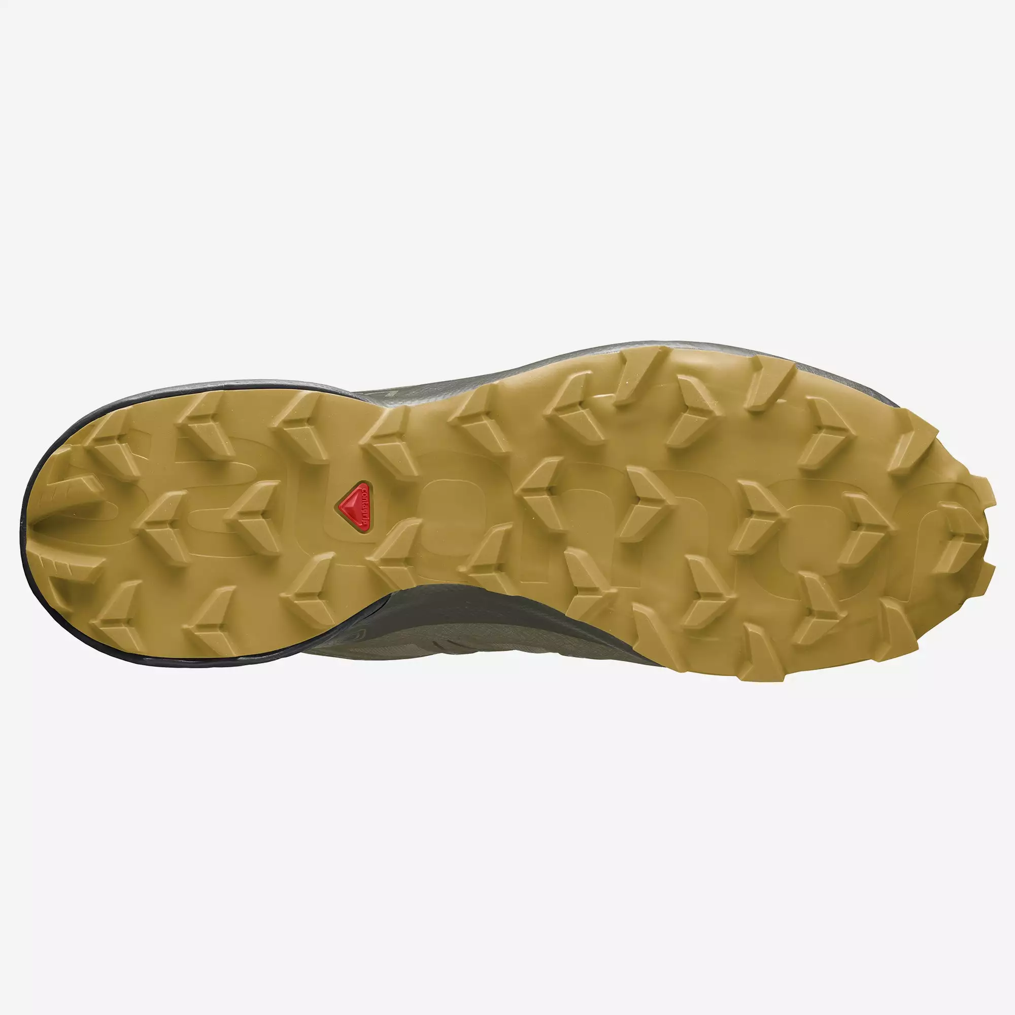 Salomon Men's Speedcross 5 GTX (Martini Olive/Peat/Arrowwood) 3 Salomon Men's Speedcross 5 GTX (Martini Olive/Peat/Arrowwood) - Image 3